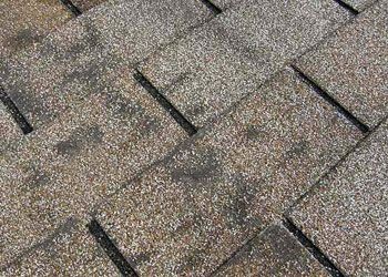 Dark, "Dirty-Looking" Areas On Your Roof