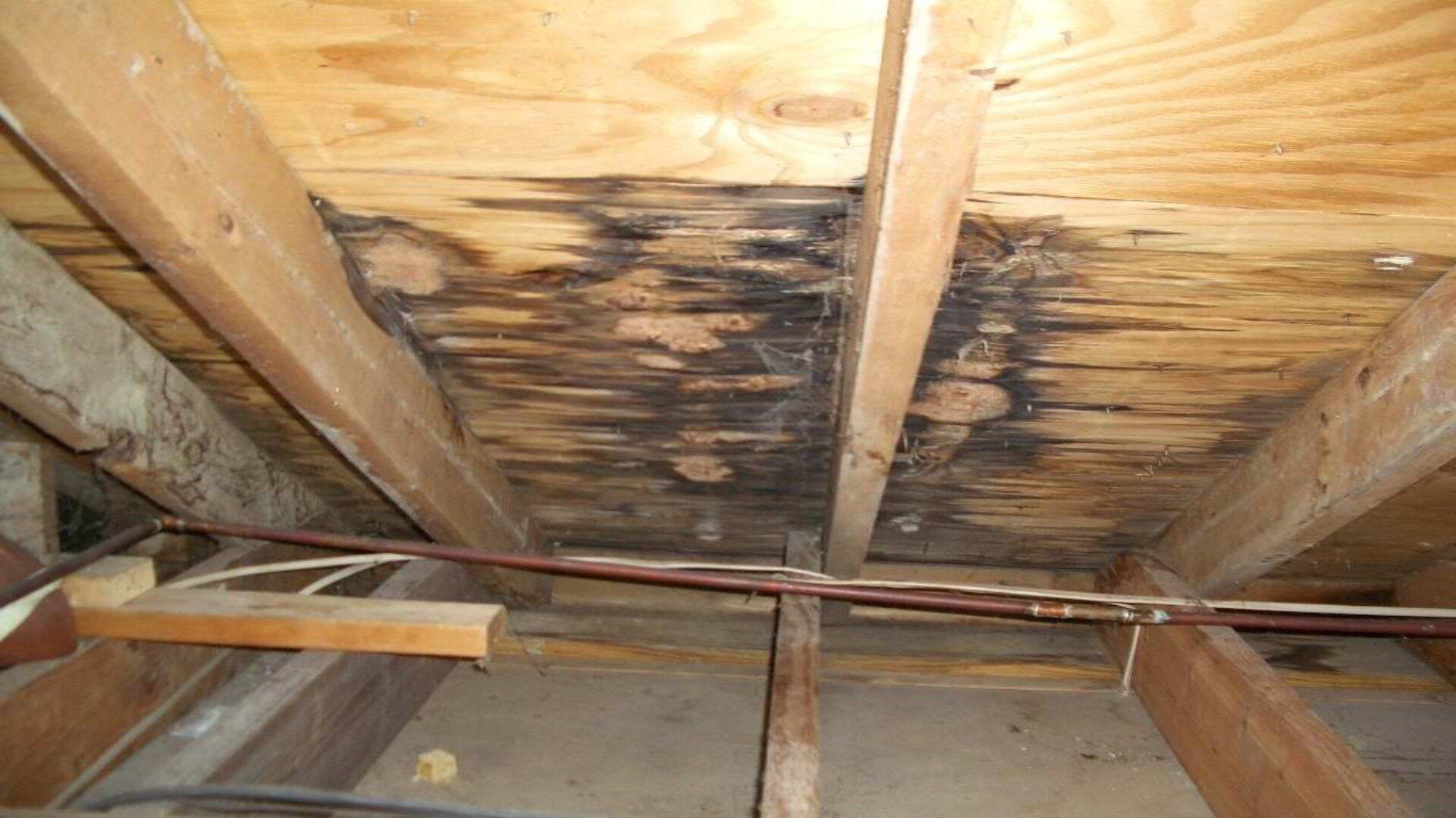 Water Leak in the Attic